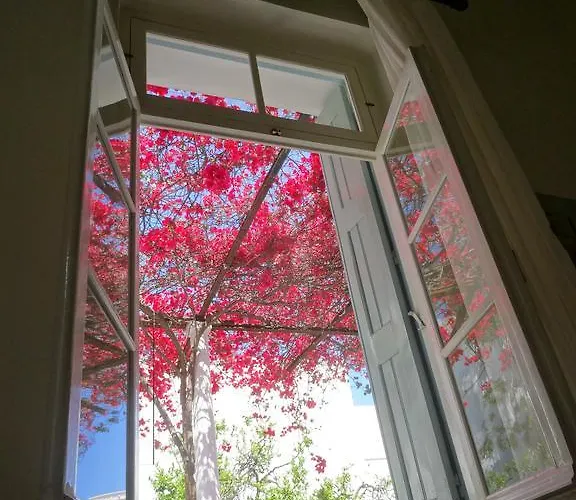 Neoclassical House Дом отдыха